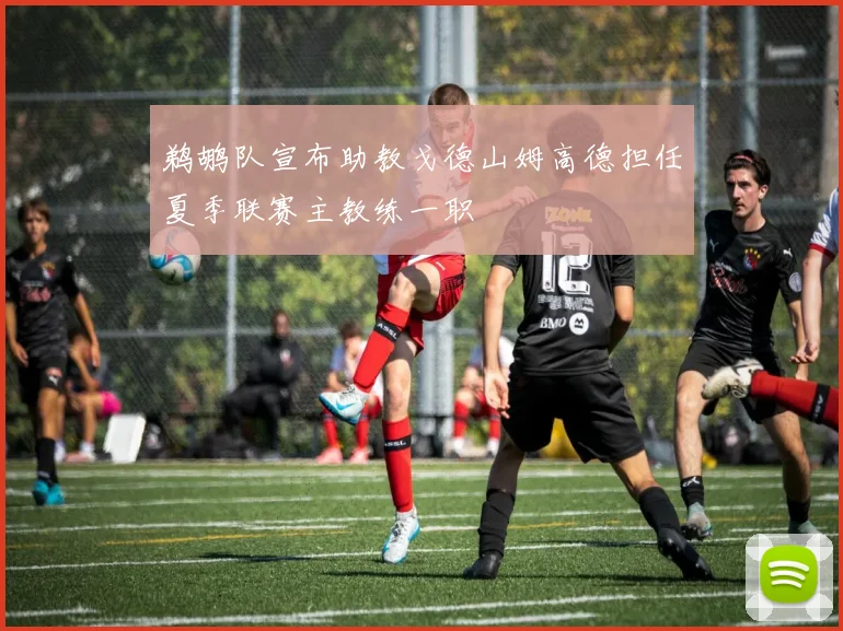 鹈鹕队宣布助教戈德山姆高德担任夏季联赛主教练一职